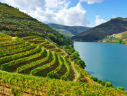Porto and the Douro Valley
