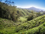 Darjeeling