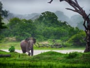 Gal Oya National Park