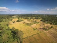 Habarana