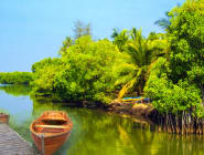 Koggala Lake