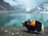 Sikkim