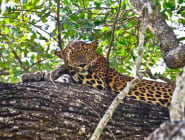 Wilpattu National Park