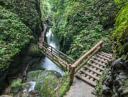 Mount Qingcheng