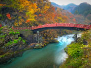 Nikko