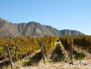Cafayate