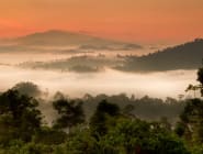 Danum Valley and Tabin