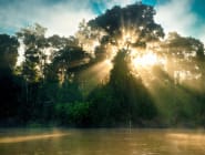 Kinabatangan River
