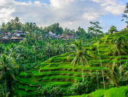 Ubud