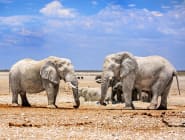 Etosha National Park