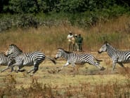 North Luangwa National Park