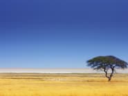 Ongava Private Game Reserve