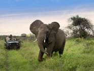 Phinda Private Game Reserve