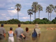 Selinda Concession
