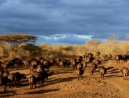 Thanda Private Game Reserve