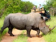 Timbavati Private Nature Reserve