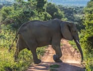 Welgevonden Game Reserve