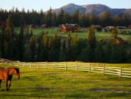 Cowboy Country