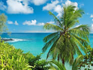Maui