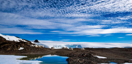 White Desert Whichaway Camp