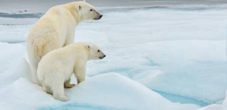 Explore Spitsbergen