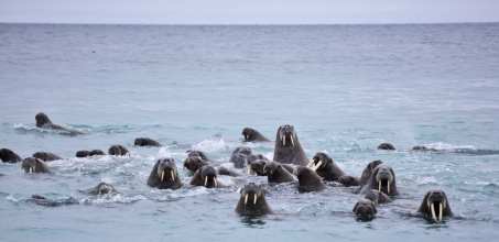 Hinlopen Strait
