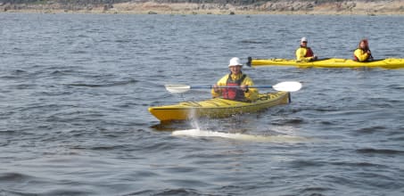 Sea Kayaking in the Arctic