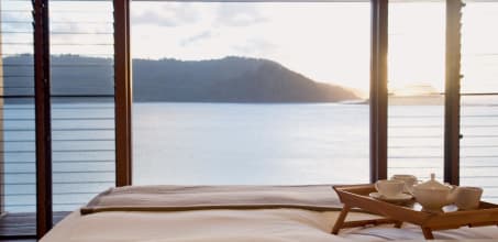 qualia