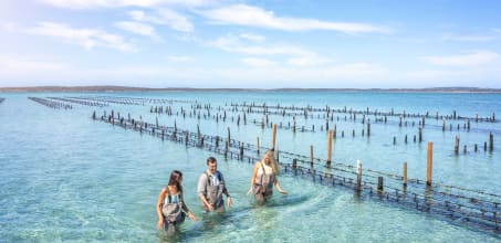 Coffin Bay Discovery