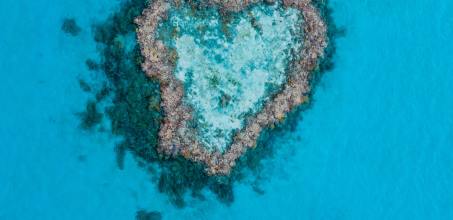 Journey to the Heart