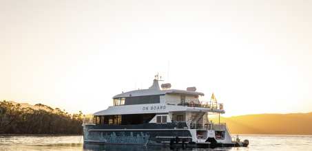 Port Davey Expedition Cruise