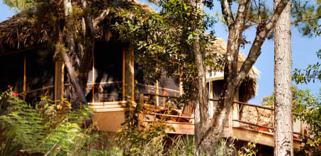 Gaia River Lodge