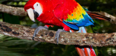 Activities at Gaia Riverlodge