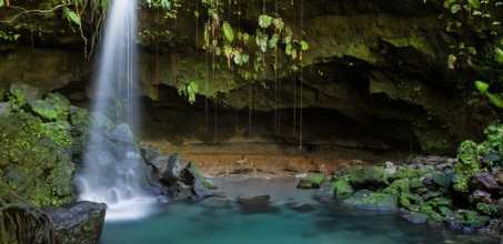 Cockscomb Wildlife Sanctuary Tour