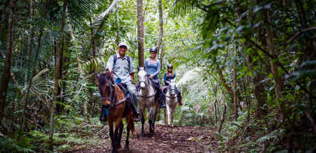 Horseback Riding Cayo District