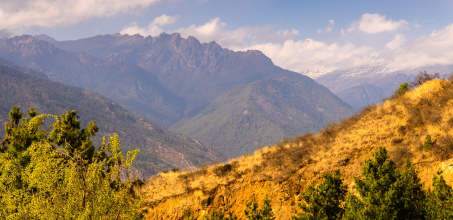 Farmhouse Visit & Home-Cooked Dinner