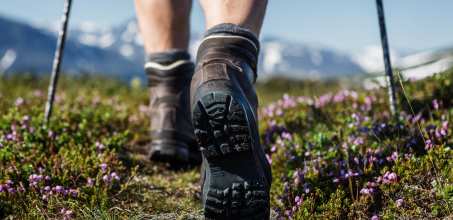 The Gangtey 360°Hike