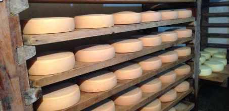 The Red Panda Brewery and Cheese Factory