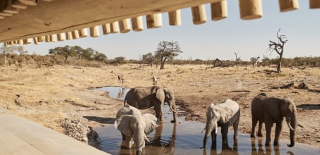Belmond Savute Elephant Lodge