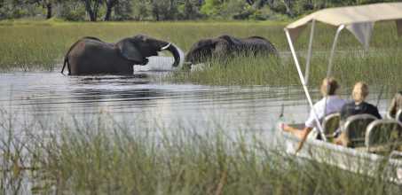Boat safari in the Okavango Delta