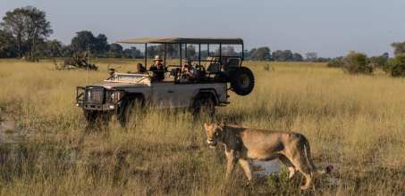 Game Drives in Botswana