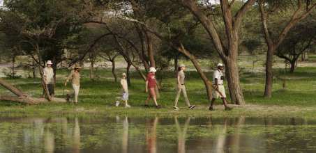 Walking Safaris and Nature Walks