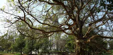 Genocide Museum and The Killing Fields