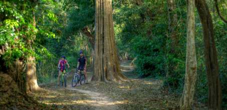 Temples of the Forest by bike