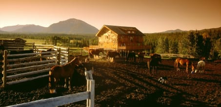 Echo Valley Ranch & Spa