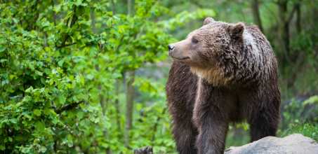 Day 2 - Farewell Harbour Lodge