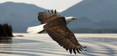 Day 4 - Farewell Harbour Lodge