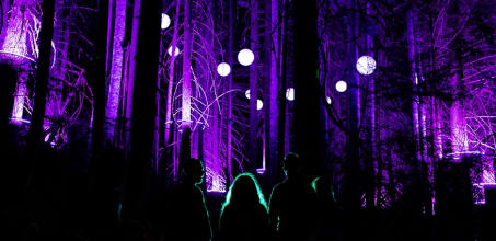 Vallea Lumina Experience