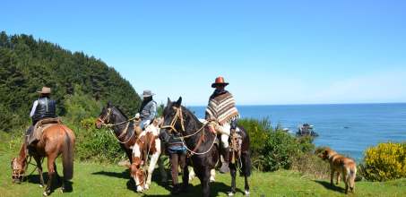 Horseback Riding at Vira Vira