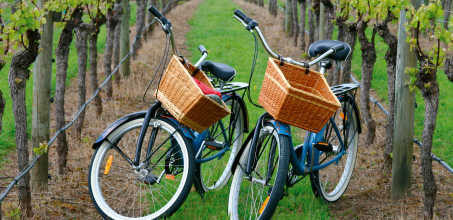 Wine & Bike in the San Antonio Valley